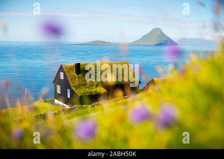 Matin brumeux vue d'une maison typique avec de l'herbe à gazon haut pavillon dans le village de Velbastadur sur Streymoy island, îles Féroé, Danemark. Photographie de paysage Banque D'Images