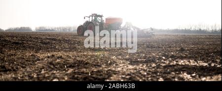 Agriculteur avec tracteur semis, semer les cultures aux champs agricoles Banque D'Images