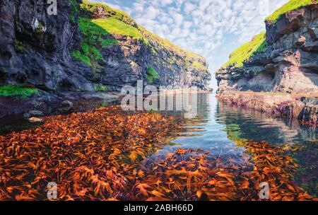 Belle vue sur quai ou le port avec de l'eau claire et l'algue rouge dans Eysuroy mais confortables et disposent village, Île, Îles Féroé, Danemark. Photographie de paysage Banque D'Images