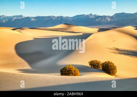 Mesquite dunes dans le Parc National de mort au lever du soleil, en Californie Banque D'Images