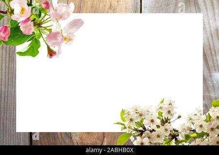 Carte printemps concept. Fond de bois naturel, feuille de papier blanc avec des fleurs de printemps. Banque D'Images