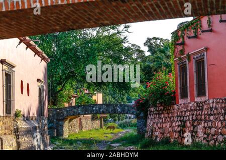 Hacienda de Los Santos. Pont de pierre dans un ruisseau qui traverse Álamos, Sonora au Mexique, une ville coloniale et magique. Cette villa mexicaine était connu sous le nom de Real de Los Alamos Los ou Frayles. La ville de portails. ombres, conduite, Voyage, tourisme, architecture, la destination touristique à l'extérieur. © (© Photo : LuisGutierrez NortePhoto.com) / puente de piedra en arroyo que cruza por Álamos, Sonora, Mexico pueblo mágico y colonial. Cette villa mexicana fue conocido como Real de Los Álamos o de los Frayles. La Ciudad de los Portales. sombras, manececer, viaje , turismo, arquitectura, destino turistico l'extérieur. © Banque D'Images