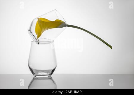 Deux verres de whisky se tiennent comme une pyramide et un bourgeon de calla jaune vif à l'intérieur d'un verre sur une surface de miroir sombre et un fond blanc, isolation Banque D'Images