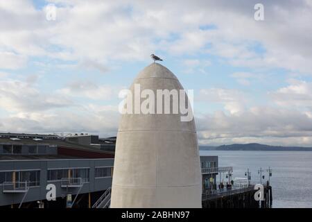 Une mouette assise sur la sculpture 'echo' par James Plensa, à l'Olympic Sculpture Park à Seattle, Washington, USA. Banque D'Images