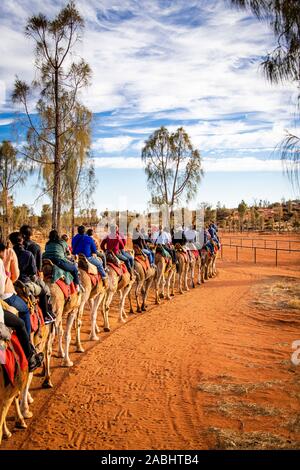 Les touristes se rendent en chameau dans l'Outback australien lors de la visite à dos de chameau au coucher du soleil. Yulara, territoire du Nord, Australie Banque D'Images