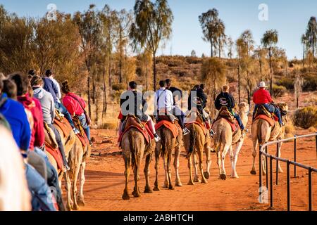 Les touristes se rendent en chameau dans l'Outback australien lors de la visite à dos de chameau au coucher du soleil. Yulara, territoire du Nord, Australie Banque D'Images