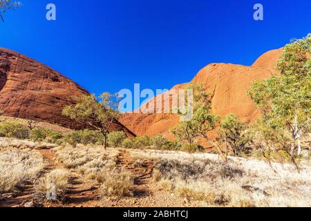 Vallée des vents à pied dans les Olgas. Kata Tjuta, Territoire du Nord, Australie Banque D'Images