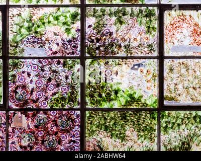 Fenêtre à l'ancienne Spode travaille à Stoke on Trent montrant les transferts de plaque Banque D'Images