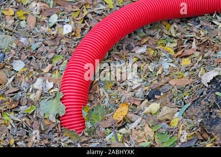 Flexible rouge tuyau à double paroi pour conduits de câble. Un tuyau en plastique ondulé est enterré dans le sol couvert de feuillage de l'automne. La réparation dans un lieu Banque D'Images