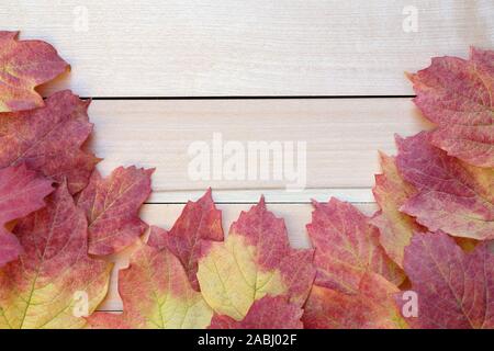 Automne feuilles rouges autour de Brown. Conseils Espace vide sur un fond de bois, les bords des feuilles tombées de viburnum. Banque D'Images