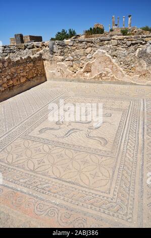 Mosaïques romaines antiques avec des dauphins et des motifs géométriques dans la chambre d'Orphée au site archéologique de Volubilis (Walili, Meknès, Fès-Meknès, Maroc) Banque D'Images