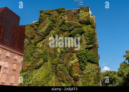 Ertical - jardin de plus en plus de la pelouse sur le mur de côté d'un bâtiment à Madrid, Espagne Banque D'Images
