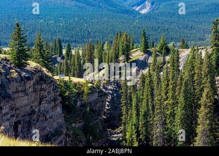 Magnifique paysage de montagne, forêt et des bancs de parc en attente de quelqu'un de venir se reposer. Banque D'Images