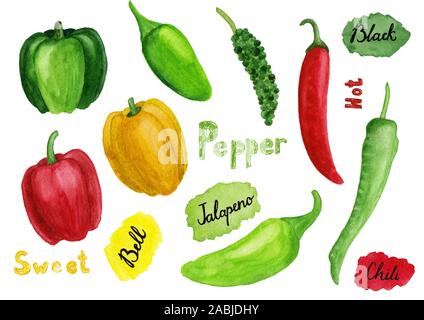 Ensemble d'aquarelle à la main les poivrons. Illustration de jalapeno, Bell, et le piment noir isolé sur fond blanc. Texte des lettres à la main. L'été Banque D'Images