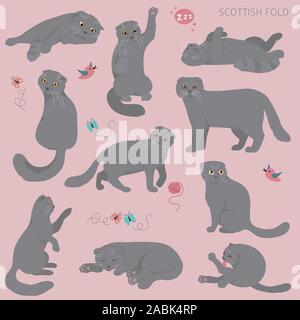 Cartoon caractères cat collection. Scottish Fold's poses et d'émotions. Couleur plate simple style design. Vector illustration Illustration de Vecteur