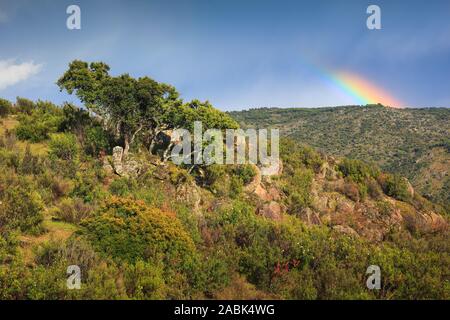 Paysage typique dans le parc national Sierra de Andujar, Jaen province, Andalusia, Spain, ici vit le Lynx ibérique rare Banque D'Images