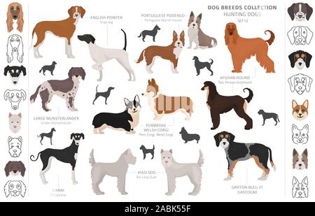 Les chiens de chasse collection isolated on white clipart. Style plat. Autre couleur, portraits et silhouettes. Vector illustration Illustration de Vecteur