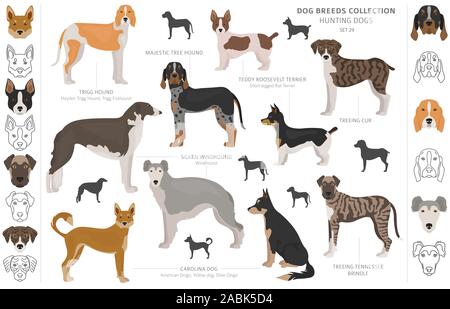 Les chiens de chasse collection isolated on white clipart. Style plat. Autre couleur, portraits et silhouettes. Vector illustration Illustration de Vecteur