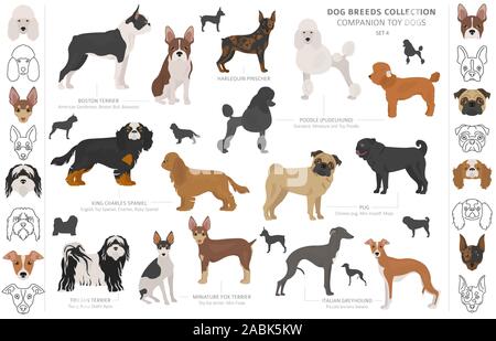 Jouet miniature et de compagnie chiens collection isolated on white. Style plat. Autre couleur et pays d'origine. Vector illustration Illustration de Vecteur