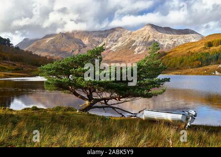 Petit bateau et le pin d'arbre sur la rive du Loch Torridon, Coulin, Wester Ross, Highland, en Écosse. Vue de Beinn Eighe. Banque D'Images