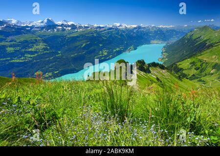 Vue depuis le lac Brienzer Rothorn de Brienz. Alpes, Suisse l'Emmental Banque D'Images