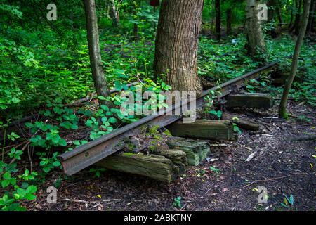 La mine Zollverein classé au patrimoine mondial, à Essen, vestiges d'anciennes voies de chemin de fer sur le terril de Zollverein, envahi par la nature, Allemagne Banque D'Images