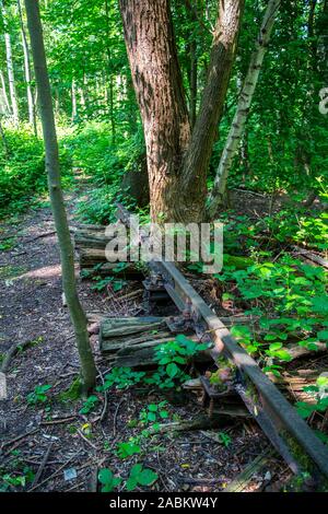 La mine Zollverein classé au patrimoine mondial, à Essen, vestiges d'anciennes voies de chemin de fer sur le terril de Zollverein, envahi par la nature, Allemagne Banque D'Images