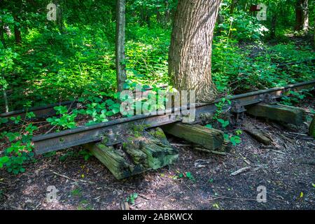 La mine Zollverein classé au patrimoine mondial, à Essen, vestiges d'anciennes voies de chemin de fer sur le terril de Zollverein, envahi par la nature, Allemagne Banque D'Images