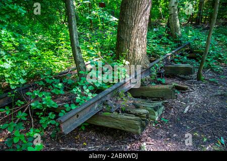 La mine Zollverein classé au patrimoine mondial, à Essen, vestiges d'anciennes voies de chemin de fer sur le terril de Zollverein, envahi par la nature, Allemagne Banque D'Images