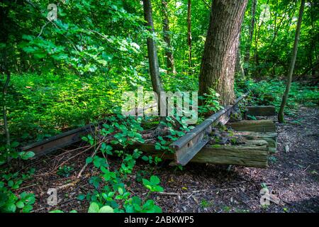 La mine Zollverein classé au patrimoine mondial, à Essen, vestiges d'anciennes voies de chemin de fer sur le terril de Zollverein, envahi par la nature, Allemagne Banque D'Images