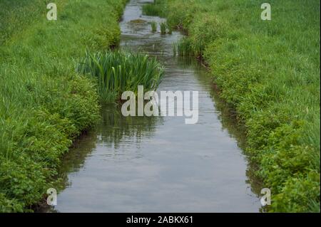 Impressions du Aubinger Moos, une vaste réserve naturelle dans l'ouest de Munich. [Traduction automatique] Banque D'Images