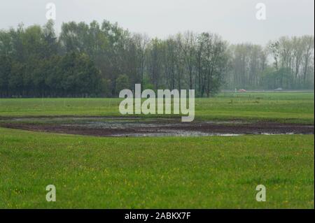 Impressions du Aubinger Moos, une vaste réserve naturelle dans l'ouest de Munich. [Traduction automatique] Banque D'Images