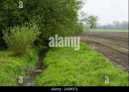 Impressions du Aubinger Moos, une vaste réserve naturelle dans l'ouest de Munich. [Traduction automatique] Banque D'Images