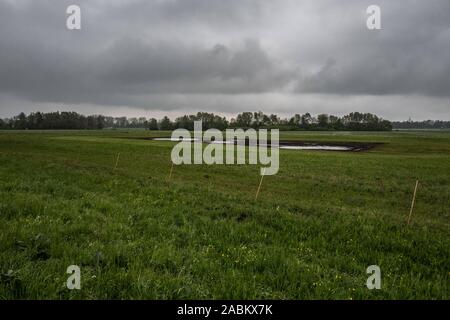 Impressions du Aubinger Moos, une vaste réserve naturelle dans l'ouest de Munich. [Traduction automatique] Banque D'Images