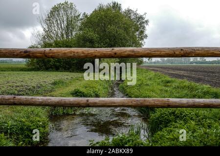 Impressions du Aubinger Moos, une vaste réserve naturelle dans l'ouest de Munich. [Traduction automatique] Banque D'Images