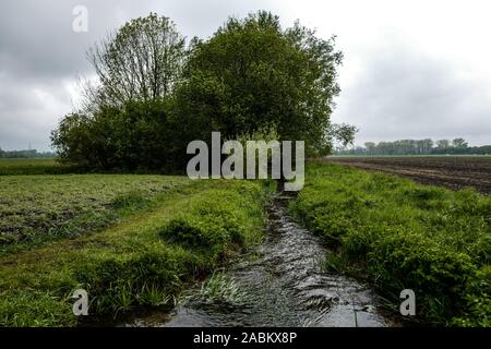 Impressions du Aubinger Moos, une vaste réserve naturelle dans l'ouest de Munich. [Traduction automatique] Banque D'Images