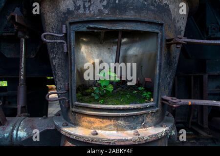 Cokerie Zollverein, une partie de la mine de charbon de Zollverein world heritage site, à Essen, les plantes poussent dans un vieux ventilateur, Allemagne Banque D'Images