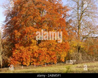 Automne Banque D'Images