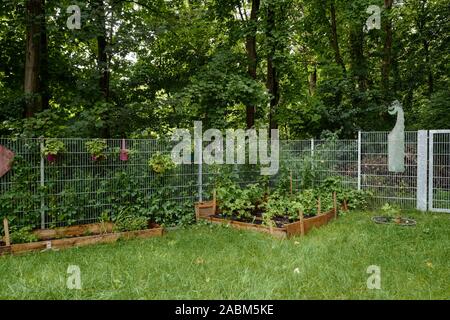 Le lit de légumes dans la KINDERHAUS à Munich en Spervogelstraße. La nouvelle clôture métallique sépare le jardin de la forêt voisine, où les enfants peuvent encore jouer avant. [Traduction automatique] Banque D'Images