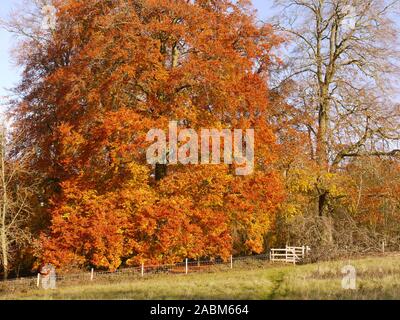 Automne Banque D'Images