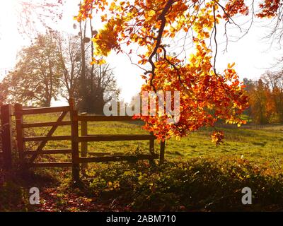 Automne Banque D'Images