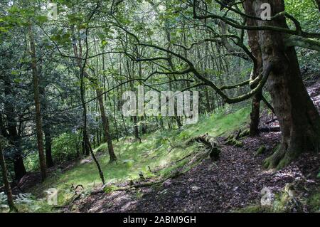 Autour de l'UK - West Yorkshire sur les Maures au-dessus de Todmorden. Vue large sur ce qui était une zone industrielle occupée jusqu'à la révolution industrielle. Banque D'Images