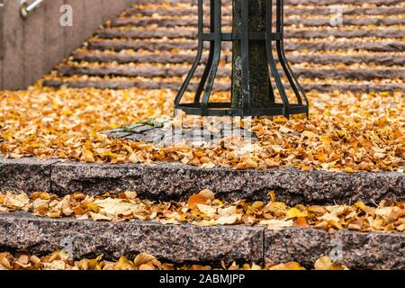 Feuilles jaunes sur l'escalier en granit - paysage d'automne avec selective focus et blur Banque D'Images