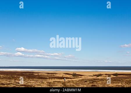 Im Schneereste Wattenmeeres Fruehjahr am Strand des Braderuper vor der Heide Banque D'Images