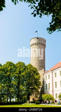 Pikk Hermann, le Riigikogu assemblée nationale, Toompea, Tallinn, Estonie. Banque D'Images