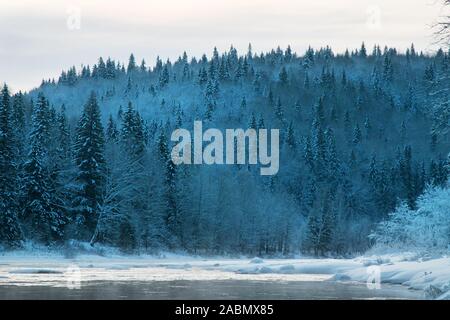 Sibérie russe en hiver. La taïga couverte de neige (forêt boréale de conifères dominées par les forêts de sapin et épinette) et panoramiques, fleuve puissant Banque D'Images