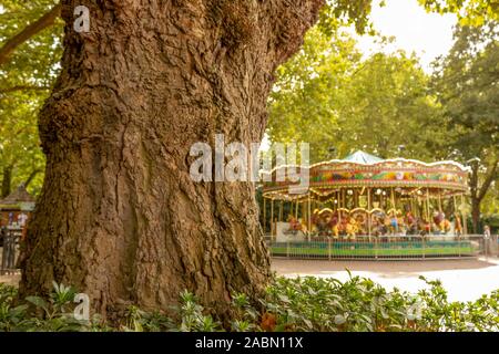 Hors focale ,merry Go-Round-(carrousel) dans une ville derrière un énorme arbre Banque D'Images