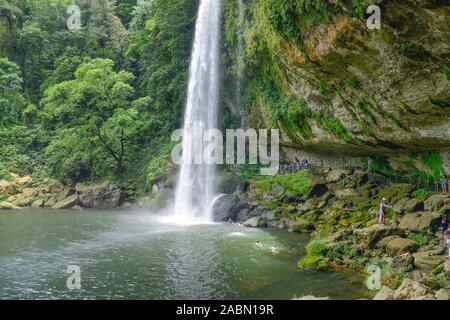 Wasserfall Misol-Ha, Chiapas, Mexique Banque D'Images