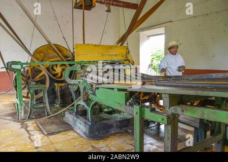 Maschine zum Quetschen von Sisal-Agaven Landwirtschaftsmuseum, von, Sisalfasern, Hacienda Sotuta de Peon, Yucatan, Mexique Banque D'Images
