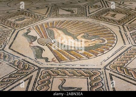 La Naissance de Vénus mosaïque. Roman. La fin du 2e siècle. Exposé dans le musée de Malaga dans le Palacio de la Aduana, Malaga, Costa del Sol, Malaga Provinc Banque D'Images